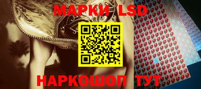 Альфа ПВП Кунгур