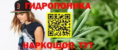 Альфа ПВП Кунгур